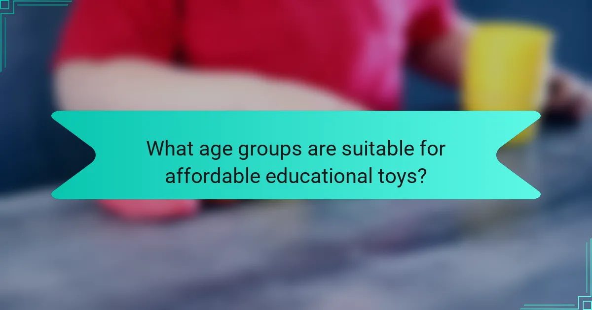 What age groups are suitable for affordable educational toys?