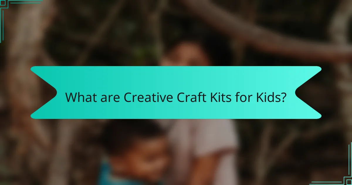 What are Creative Craft Kits for Kids?